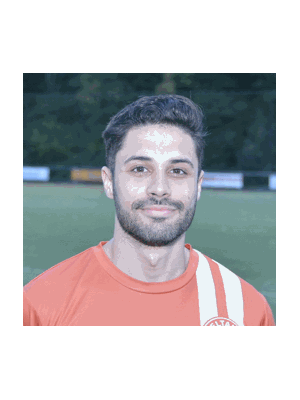 Bram van Dijk