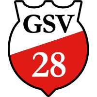GSV 28 3